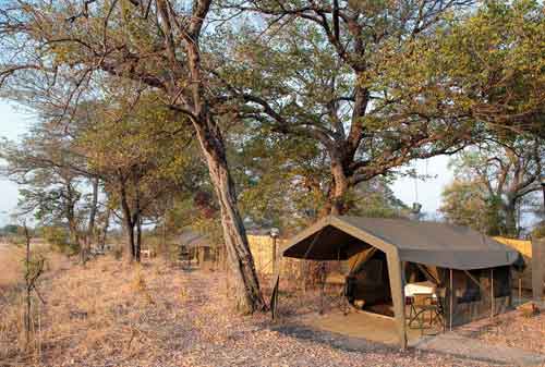 Nkonzi Camp - South Luangwa Zambia