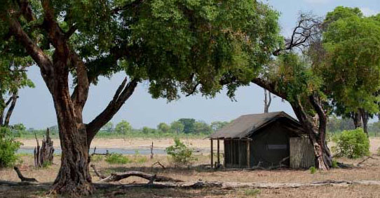 Davison Camp - Hwange Zimbabwe