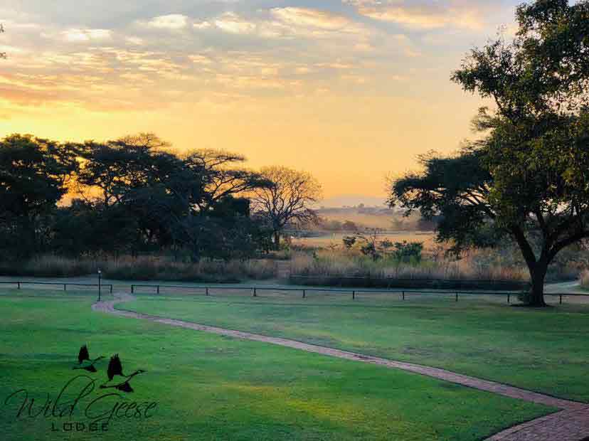 Wild Geese Lodge -Harare - Zimbabwe