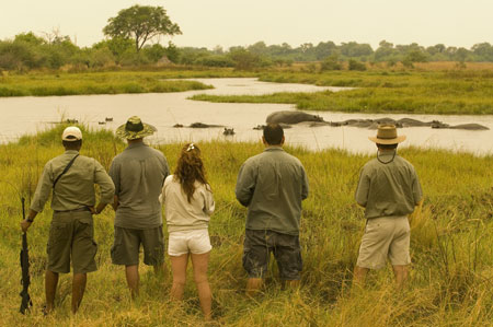 Okavango Delta Moremi Botswana