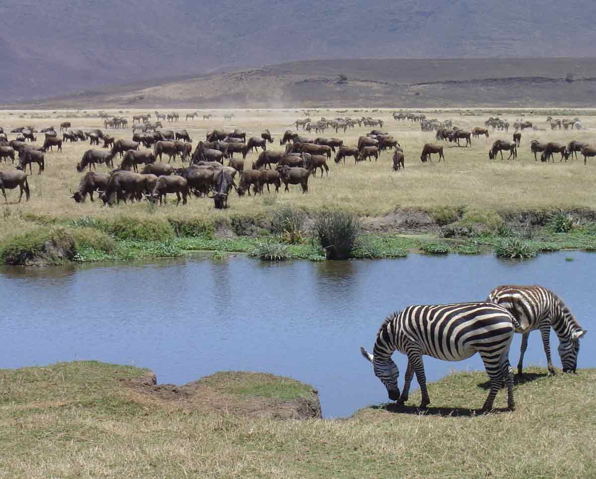 Ngorongoro Krater safari Tanzania