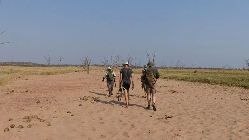 Matusadona National Park Zimbabwe